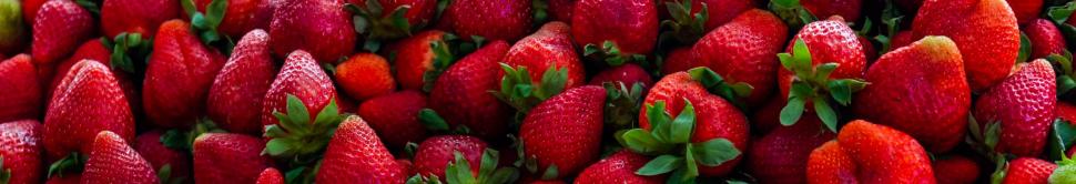 La culture des fraises, un exemple de la complexité du choix entre bio ou local.