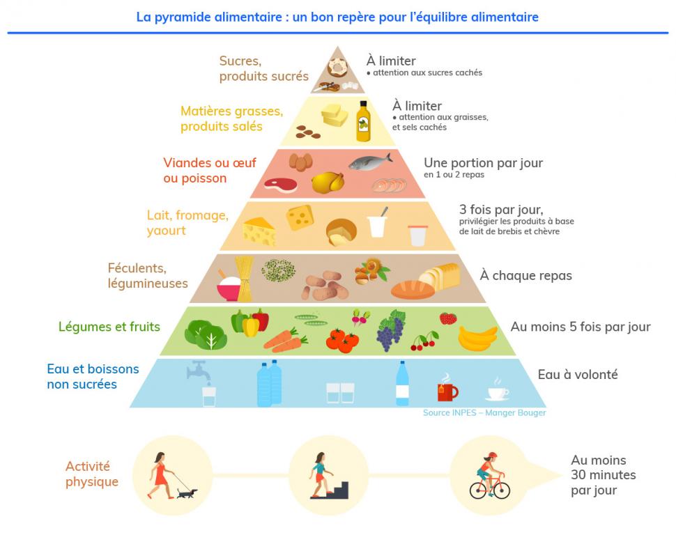 la pyramide alimentaire, un bon guide pour une bonne hygiène de vie