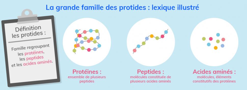 Acides aminés, peptides, protéines : comme un puzzle, les molécules s’assemblent pour former la grande famille des protides.