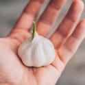 Certains aliments protègent les artères
