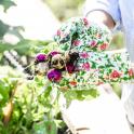 Au jardin comme dans la maison on évite les toxiques