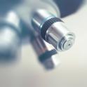 La composition du microbiote évolue