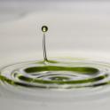 goutte-lipide