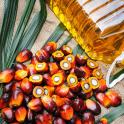 huile de palme à consommer modérément