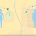 L’épigénétique a son rôle à jouer sur l’expression des maladies génétiques.