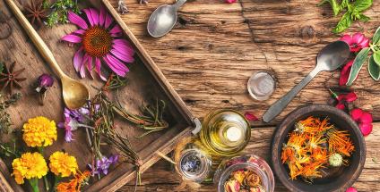 Les plantes de l’immunité - Penser Santé