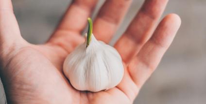 Certains aliments protègent les artères