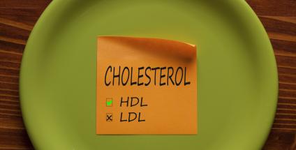 HDL et LDL transportent le cholestérol