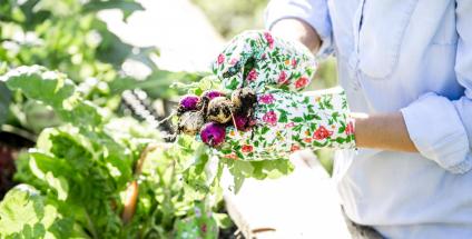 Au jardin comme dans la maison on évite les toxiques