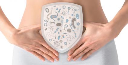 Le mucus intestinal, un bouclier contre les infections et les mycoses