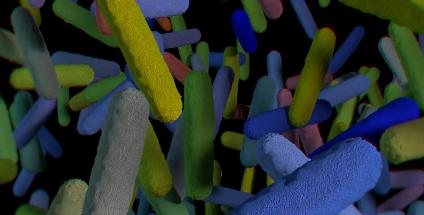 Reconstruire sa flore intestinale, c’est lui redonner toute sa diversité