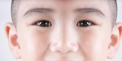 Les perturbateurs endocriniens provoquent des atteintes au systèmes reproductif des jeunes garçons et des adolescents.