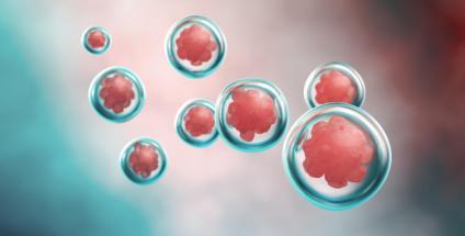 Les cellules disposent d’un arsenal antioxydant