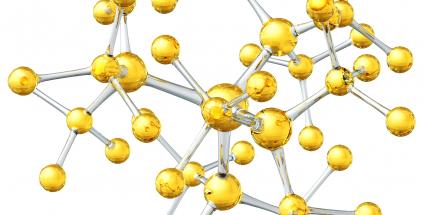 Le mode d’action des vitamines dans l’organisme