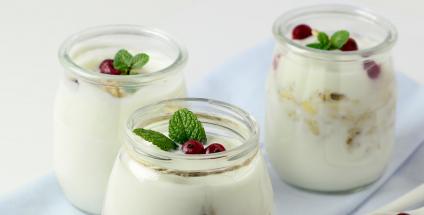 Le lait est la base de la majorité des aliments lacto-fermentés comme le yaourt, au détriment des légumes