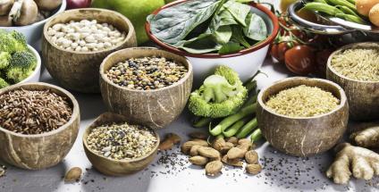 Fibre alimentaire, Alimentation et prébiotique