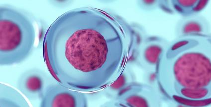 Cellules et nutrition