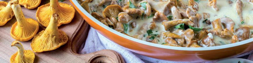 Poêlée de champignons, les délices d'automne