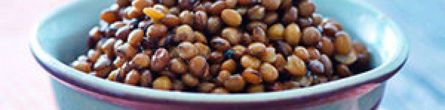 Salade de lentille, chou-rouge et truite