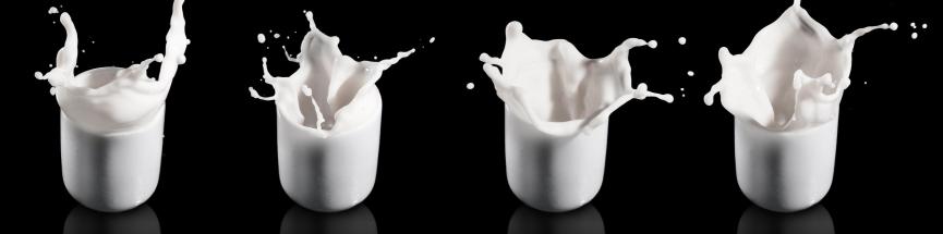 Laits animaux et boissons végétales ont des qualités propres.