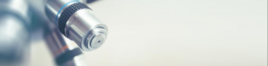 La composition du microbiote évolue