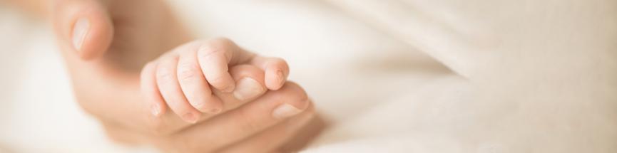 Transmission épigénétique des perturbateurs endocriniens.