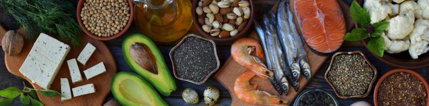 Les oméga-3 et 6 apportés par l’alimentation et synthétisés par le foie sont mis à disposition de l’organisme.