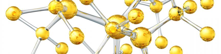 Le mode d’action des vitamines dans l’organisme