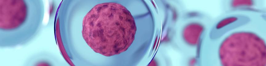 Cellules et nutrition