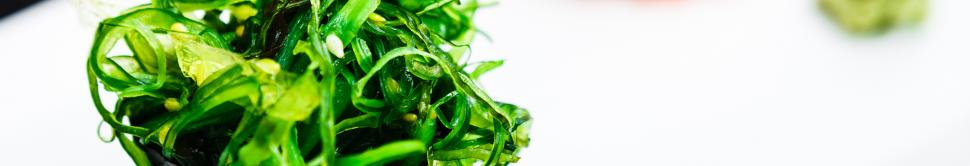 Les aliments riches en taurine