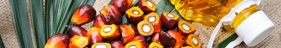 huile de palme à consommer modérément