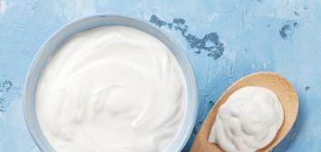 Les ferments lactiques