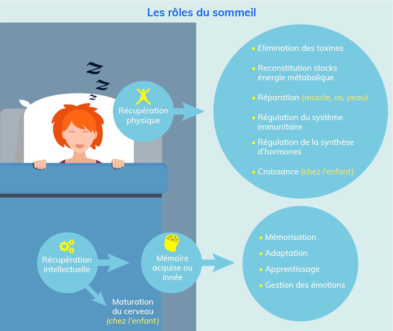 Les rôles du sommeil : dormir ça sert à quoi ? | Penser Santé