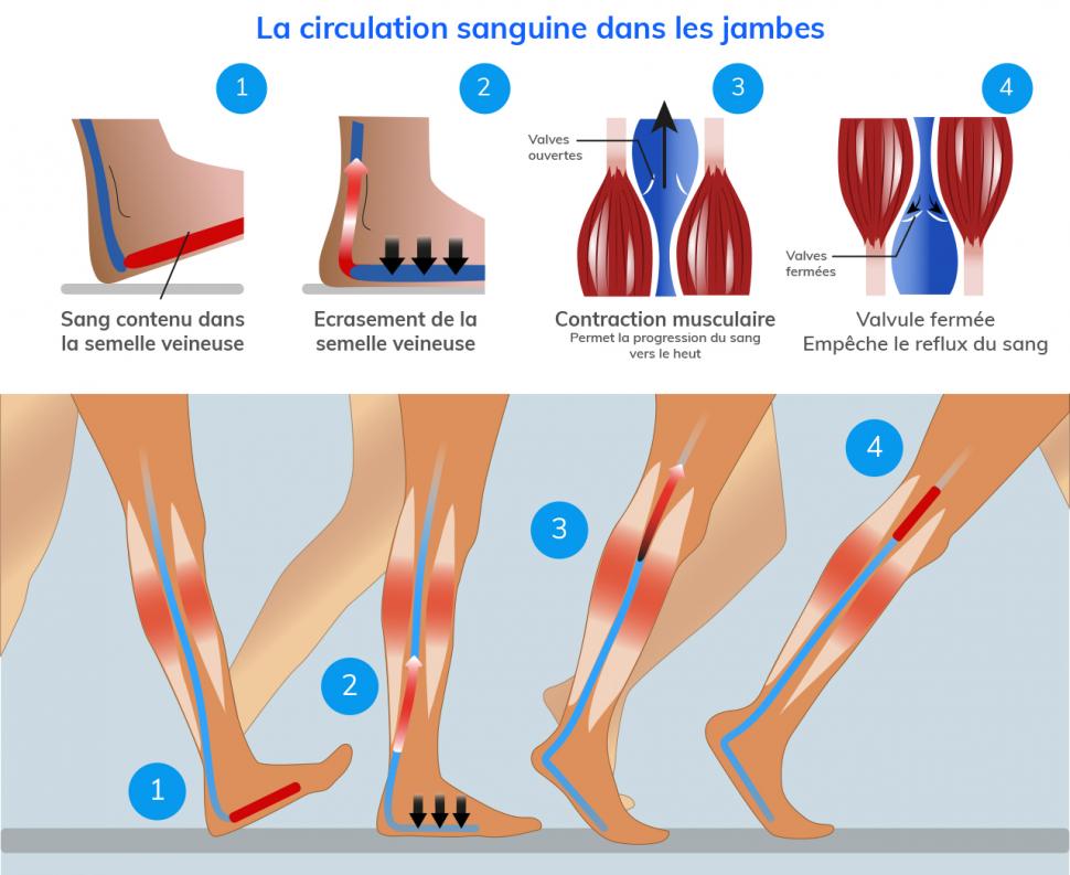 La marche est nécessaire à une bonne circulation sanguine dans les jambes