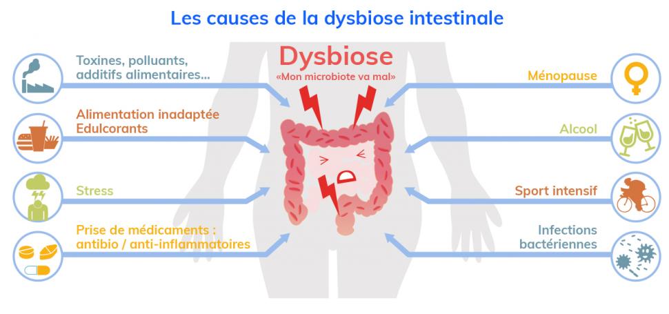 Les causes d’une dysbiose sont multiples : de l’alimentation inadaptée au sport intensif !