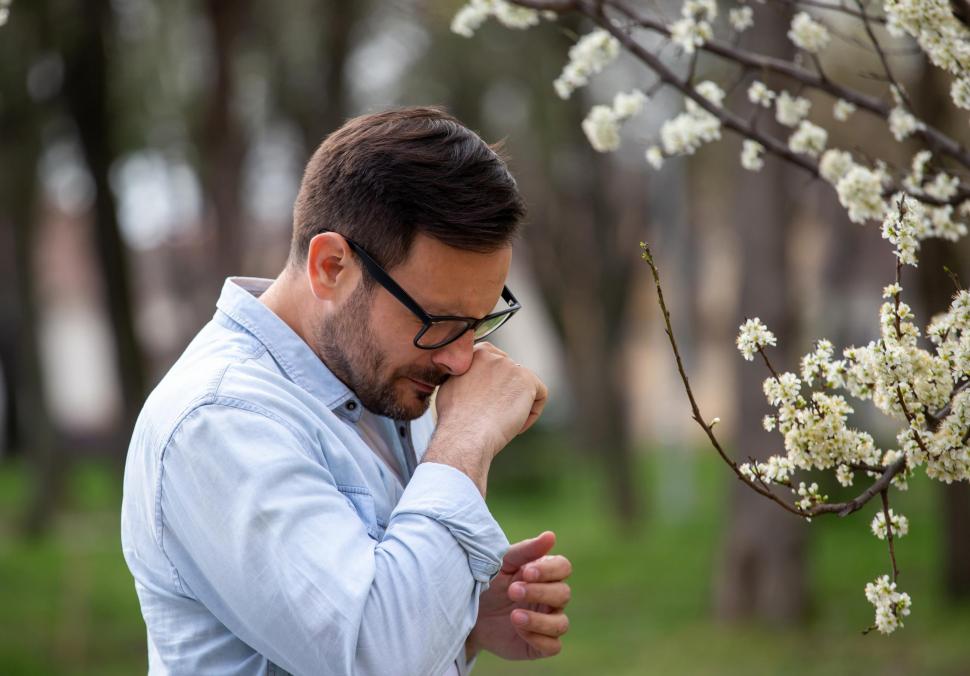 Santé intestinale et protection contre les allergies vont de paire