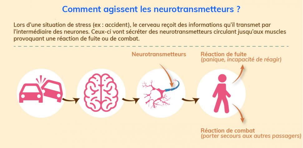 Mode d’action des neurotransmetteurs