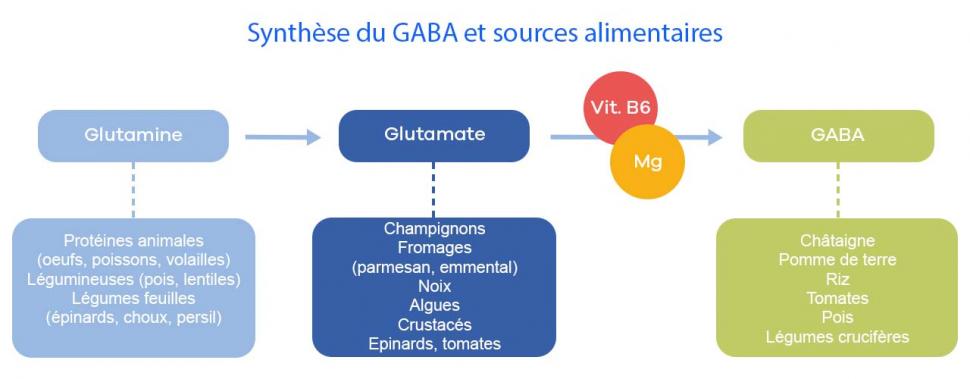 Favoriser la synthèse de GABA grâce à l’alimentation