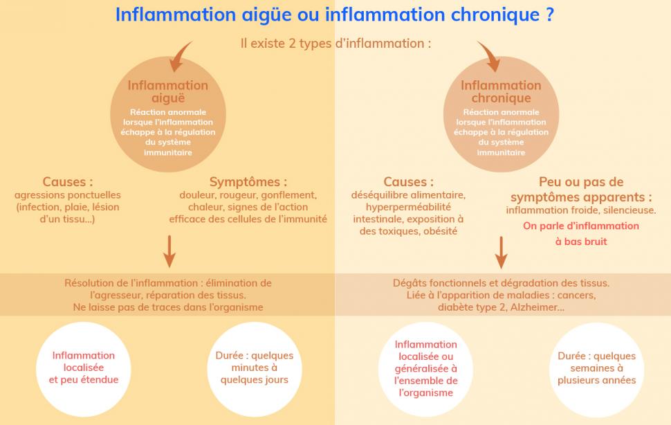 Si l’inflammation aiguë est bénéfique et de courte durée, l’inflammation chronique perdure dans le temps et cause des dommages à l’organisme 