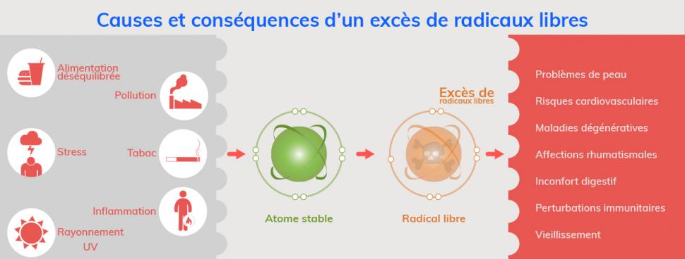 Les causes et conséquences du stress oxydatif, lié à l’excès de radicaux libres, sont nombreuses