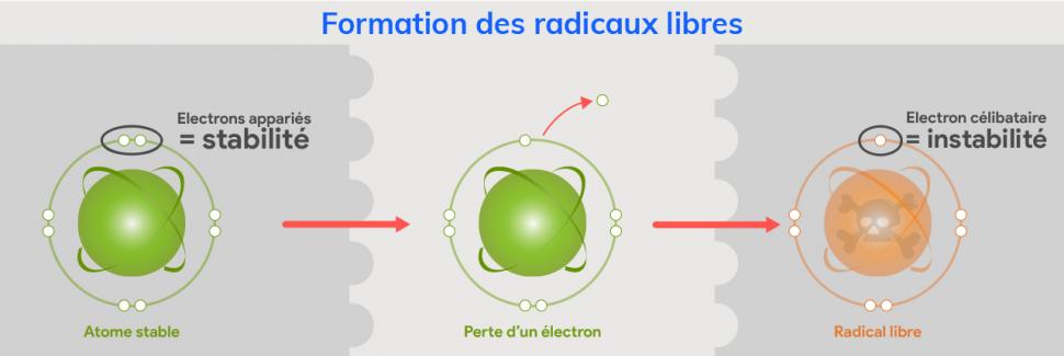 Formation des radicaux libres illustrée