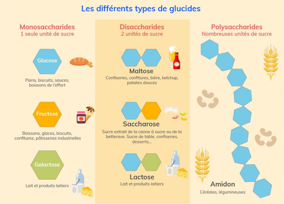 Les principaux et différents types de glucides