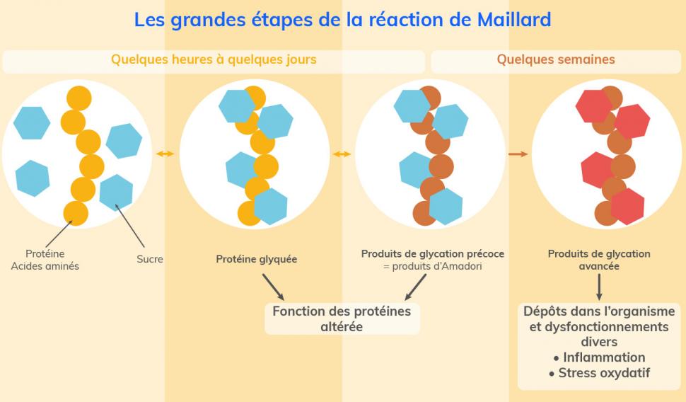 La réaction de Maillard entraîne la formation de produits dangereux pour notre santé