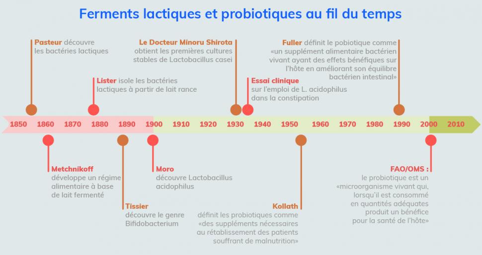 Les ferments lactiques au fil du temps