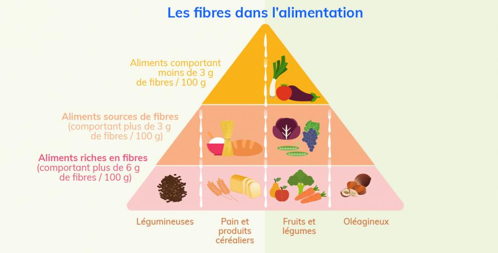 Les fibres alimentaires