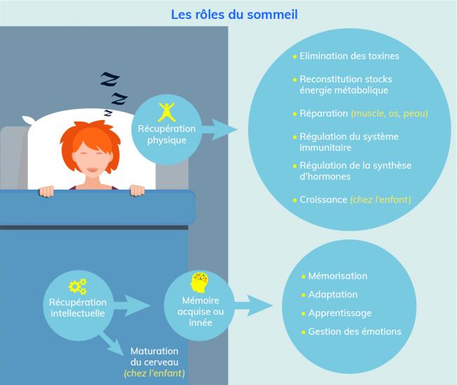 Dormir Sert A Refroidir Le Cerveau Les rôles du sommeil : dormir ça sert à quoi ? | Penser Santé