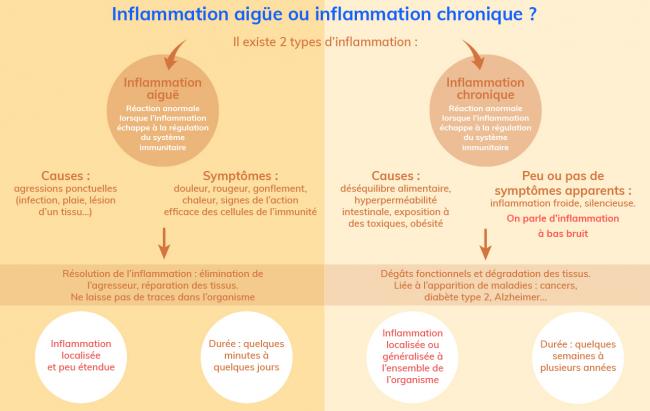 L’inflammation chronique  Penser Santé
